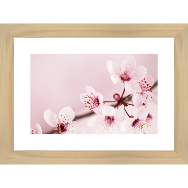 Картина в багете 40x30 Ветка сакуры на розовом фоне