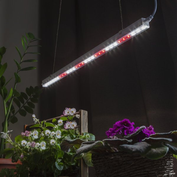 Светильник для растений ЭРА FITO-9W-T5-Ra90 полного спектра 9Вт Т5
