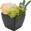 Растение искусственное Суккуленты 13 см DIY-S091