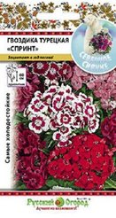 Семена Гвоздика турецкая Микс