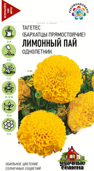 Семена Бархатцы прямостоячие Лимонный пай (Тагетес) 0,1г