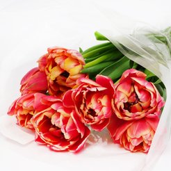 Букет Тюльпан махровые 7шт