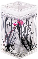 Стакан для зубных щеток с разделителем Silven