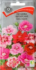 Семена Гвоздика Китайская Смесь окрасок 0,25г