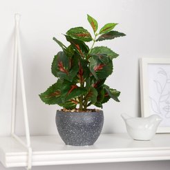 Растение искусственное в кашпо Колеус декоративный 21см