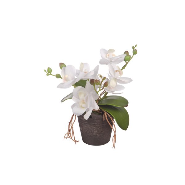 Композиция цветочная Белая орхидея 18см
