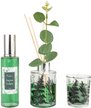 Набор ароматический Fresh Lemon&Eucalyptus  Набор ароматический Fresh Lemon&Eucalyptus
