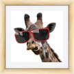 Картина МС-70 40х40 жираф в очках