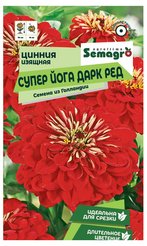 Семена Цинния изящная Супер Йога Дарк Ред