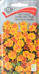 Семена Бархатцы тонколистные Оранжевый самоцвет 0,1г