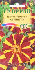 Семена Бархатцы (Тагетес) отклоненные Стриптиз