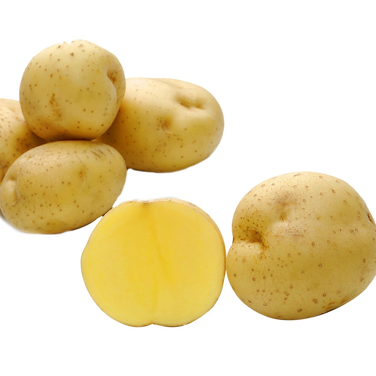 Гала картофель купить описание сорта. Семенной картофель Гала. Сорт картофеля Гала. Картофель семенной Гала элита. Сорт Гала.