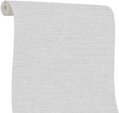 Обои RENOWA Absolute 287687 1,06х10м фон