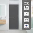 Дверь в нишу VEGA 90 ТОН распашная на рояльной петле (двусторонняя) с полотенцедер,90х195см,6мм,тонир.стекло