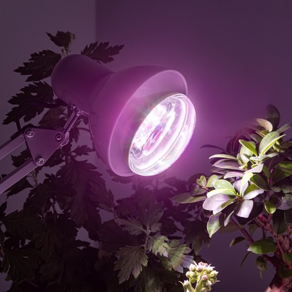 Лампа светодиодная для растений ЭРА FITO-15W-Ra90-E27 полного спектра 15Вт Е27