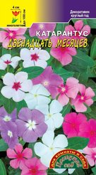 Семена Катарантус Двенадцать месяцев 0,05г