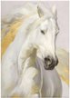 Канвас Белая лошадь 50х70см