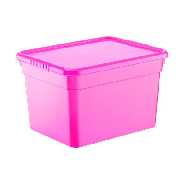 Ящик д/хранения FunBox Funcolor 5л 15,4х19,6х24,6см с крышкой, розовый