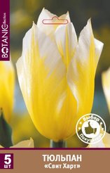 Луковицы Тюльпан гибрид фостера Свит Харт 5шт