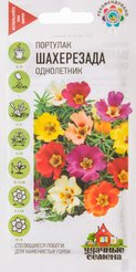 Семена Портулак Шахерезада,смесь