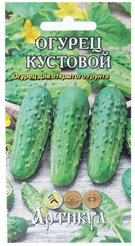 Семена Огурец Кустовой 0,3г