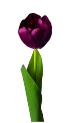Цветок искусственный Lefard Тюльпан фиолетовый 44см