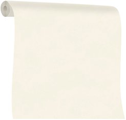 Обои Аспект Deluxe Штукатурка New 70601-11 1,06x10м фон