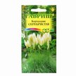 Кортадерия Серебристая (Пампасная трава)