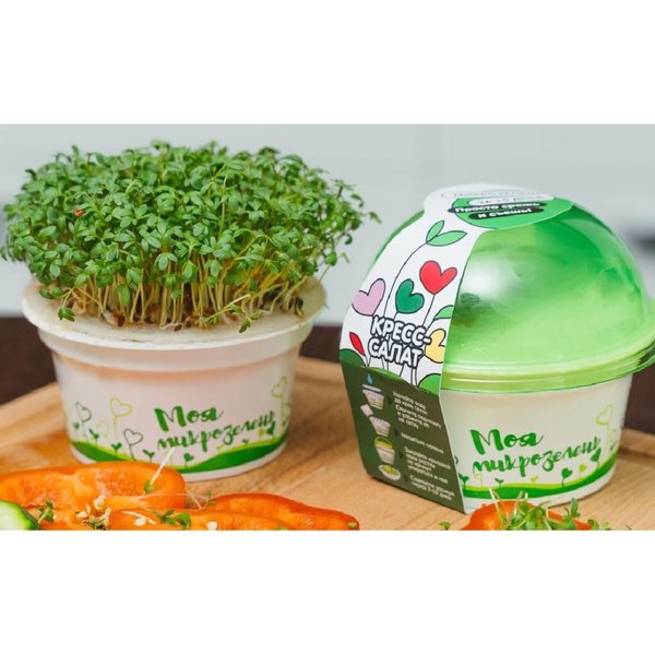 Набор для выращивания Кресс-салат Моя микрозелень