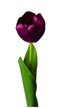 Цветок искусственный Lefard Тюльпан фиолетовый 44см