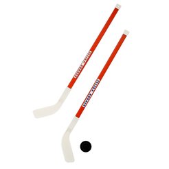 Набор хоккейный с шайбой