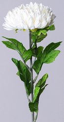 Цветок искусственный Астра шампань 58см