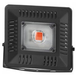 Фитопрожектор для растений РОСТ ЭРА FITO 50W LED BLUERED