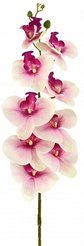 Цветок искусственный Орхидея фаленопсис Мели 90см