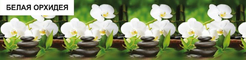 Панель фартук АБС пластик 300х60х0,13см Белая орхидея