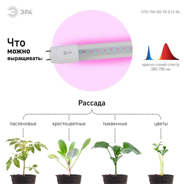 Лампа светодиодная для растений ЭРА FITO-9W-RB-Т8-G13-NL и мясных прилавков красно-синего спектра 9Вт Т8 G13