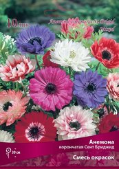Клубень Анемона корончатая Сент Бриджид Смесь окрасок 10шт