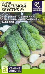 Семена Огурец Маленький Хрустик F1 5шт