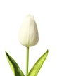 Цветок искусственный Белый Тюльпан 34х3,5х3,5см