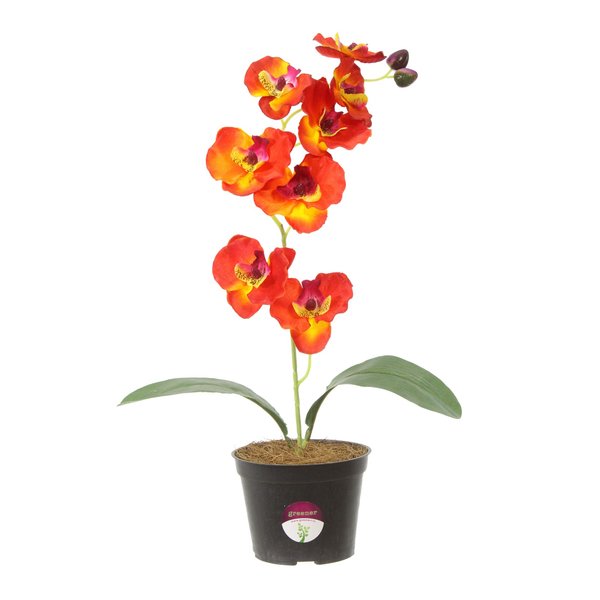 Растение искусственное в кашпо Орхидея Стюарт h35