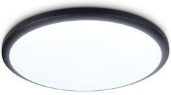 Светильник светодиодный FZ1233 BK черный IP44 22W 6400К D260х55 (Без ПДУ)