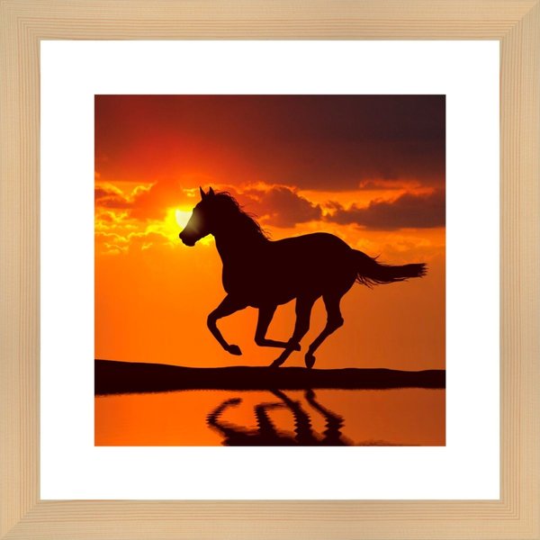 Картина в багете 40x40 Лошадь на закате