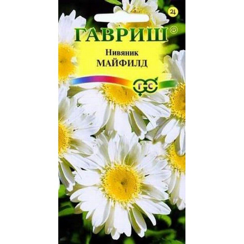 Нивяник Майфилд махровый 238113 купить с доставкой в МЕГАСТРОЙ Казань