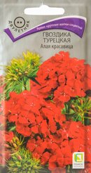 Семена Гвоздика Турецкая Алая красавица