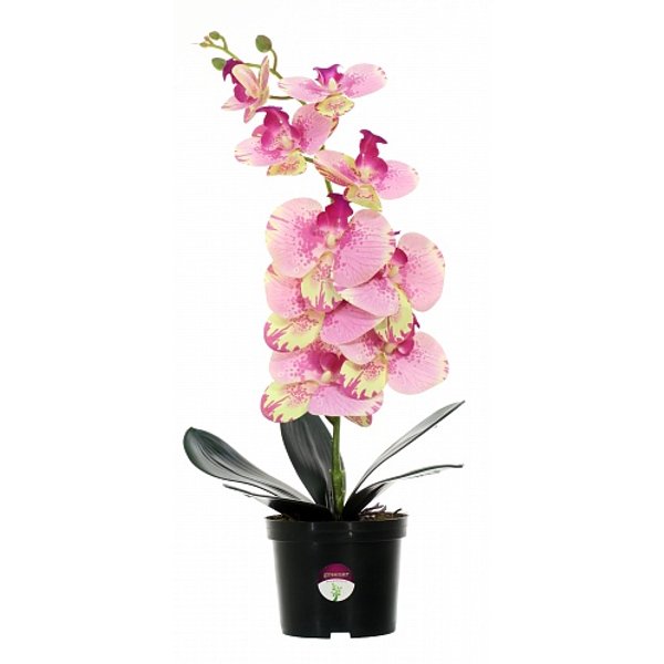 Растение искусственное Орхидея Мели в кашпо h50см