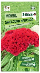 Семена Целозия гребенчатая Джессика красная Semagro 15шт