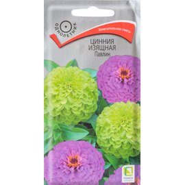 Семена Цинния изящная Павлин 335019 купить с доставкой в МЕГАСТРОЙ ...