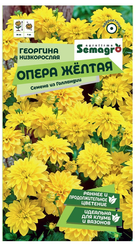 Семена Георгина низкорослая Опера жёлтая