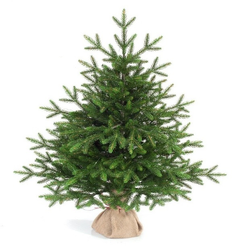Ель искусственная Ева 70см РЕ+ПВХ