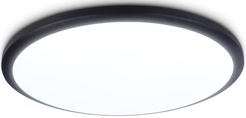 Светильник светодиодный FZ1234 BK черный IP44 42W 6400К D370х55 (Без ПДУ)